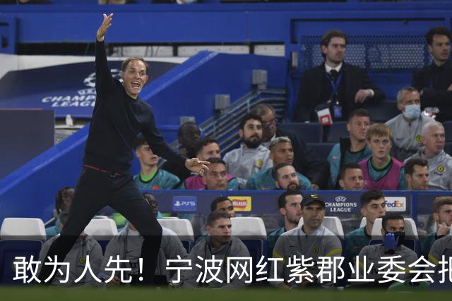 敢为人先！宁波网红紫郡业委会把长期欠物业费业主给强制执行了！