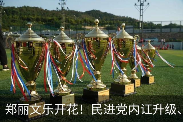 郑丽文乐开花！民进党内讧升级、24年老将反水？国民党2人很尴尬
